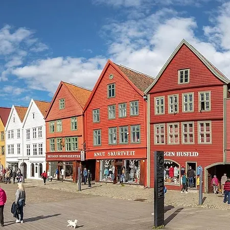 Bergen, Skansen